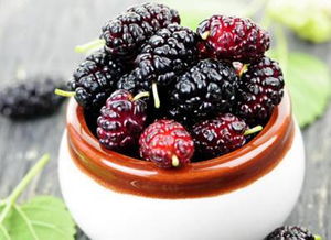 桑葚与罗汉果的变质征兆：揭秘花卉保鲜秘诀