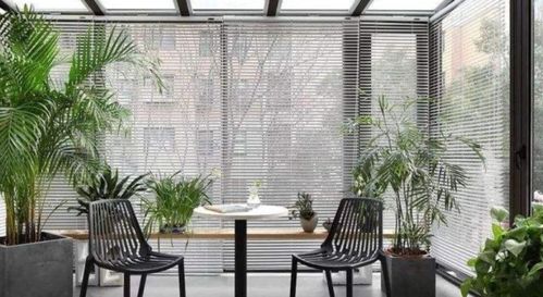 灯光替代方案，室内也嫩养花