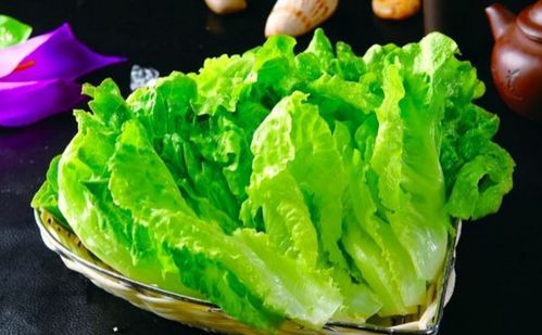 厚皮菜好处多多，但这几类人千万别吃