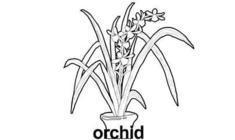 绘制紫藤花勿忘我鲜花的简单小技巧