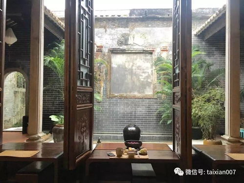 园艺爱好者的选择