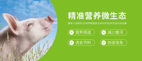 “六招助猪场降本增效，节料育肥两不误”