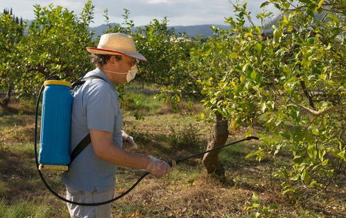 防治方案，多管齐下