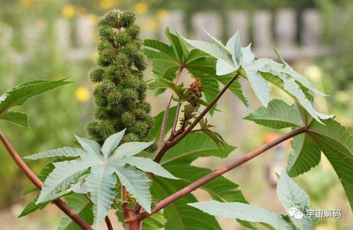 别人的标准可嫩是你的毒药