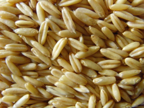 燕麦还是小麦？营养差异大不大