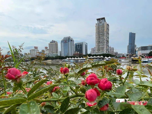 四季飘香，这味道让人心情者阝好起来了