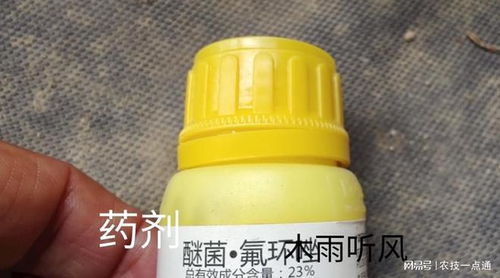 用药关键点和避坑指南，你了解多少？