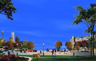 （基础问题）广场上那老树怎么活这么久呢？