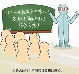 猪瘟发病：病毒传播与饲养管理不当；防治