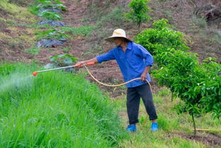 配药注意事项， 别大意