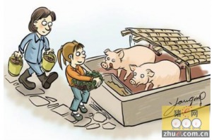 养猪效益升级：九大误区