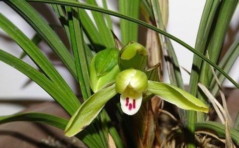 干燥环境咋办？试试“三明治保湿法”吧！