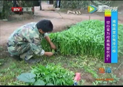 盐水祛农残，没有科学依据