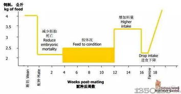 如何通过精细化管理确保猪场在行情波动中实现盈利？