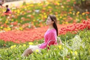 “如何通过花海传递正能量，让绽放的希望与美丽感染更多人