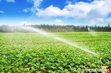 农药的使用情况