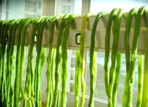 果园里的落叶问题，你头疼吗？