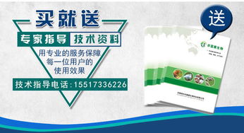 藿香正气水助力猪只健康，提升养殖效益