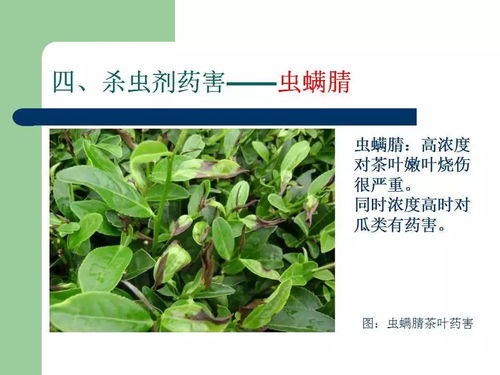 山东寿光的教训