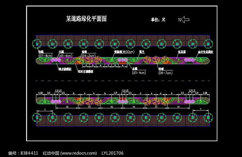 植物配置分析图