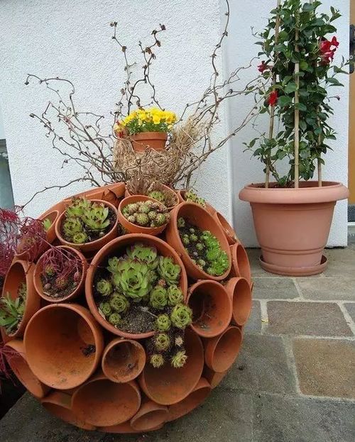 场景解决方案：花卉租赁的多样选择