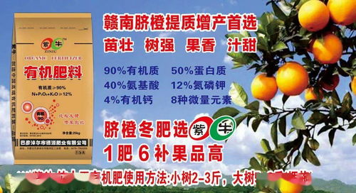 加盟赣南茶油：轻松成为代理的条件一览