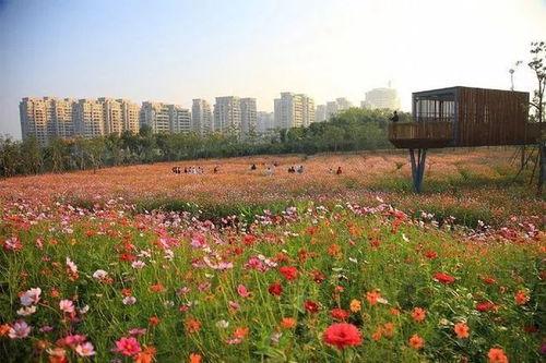 生态与经济效益，如何双赢？