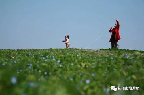 草儿高高的隐患多