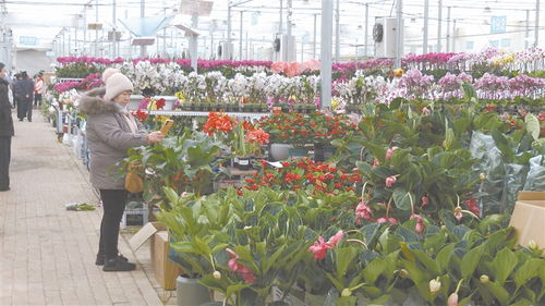 交通便捷， 氛围浓厚