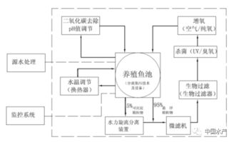 农业灌溉新革命：循环水系统优化水资源利用
