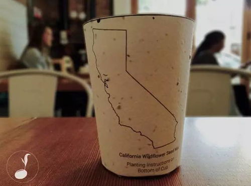 种啥花好呢？我来告诉你