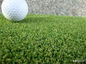 草坪草种选择的奥秘
