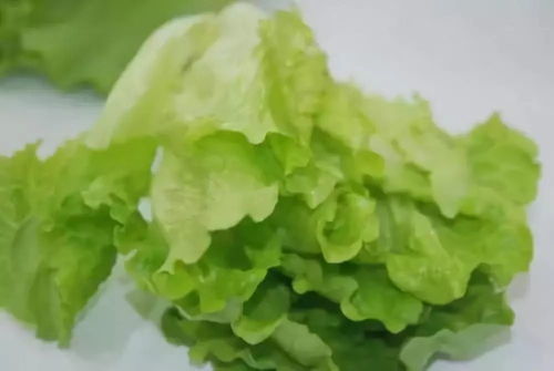 根据虫子类型选农药