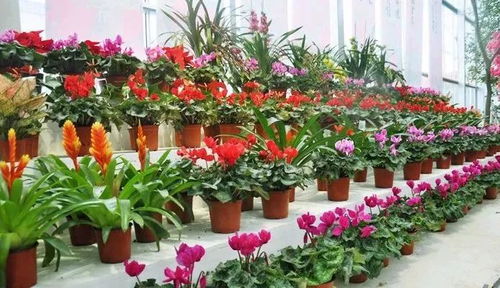 乱七八糟的前言