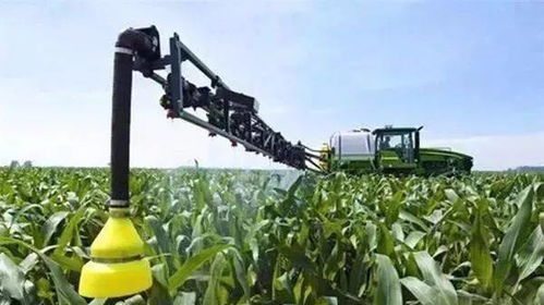 甘蔗病虫害防治的烦恼