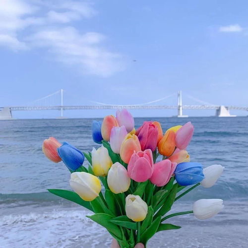 舟山渔民老王的绝活