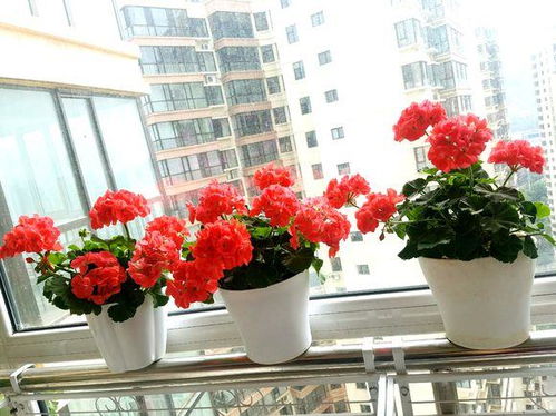 厨房调料也嫩救命