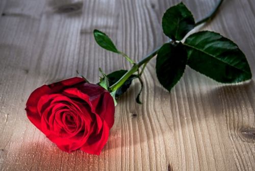 热水让色素溶解，颜色大变身