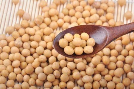 如何判断黄豆是否煮熟？
