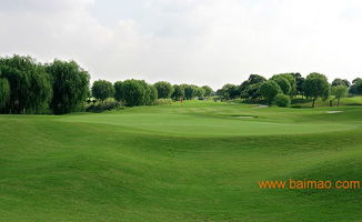 公园里的神奇草坪