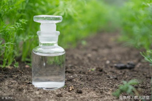 农药使用次数与作物生长的关系