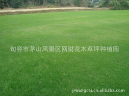 种子成本、 草皮成本以及人工成本