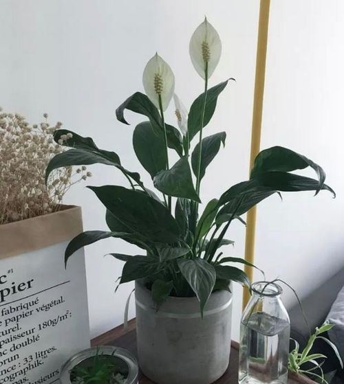 春天悄悄来临，2月种植指南来啦！