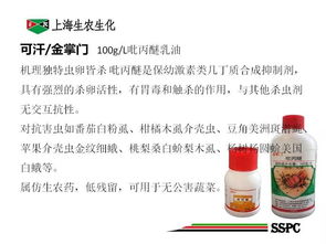 菜心黑斑怎么办？苯醚甲环唑喷施技巧大揭秘