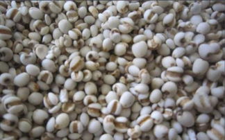 浸泡时间有讲究