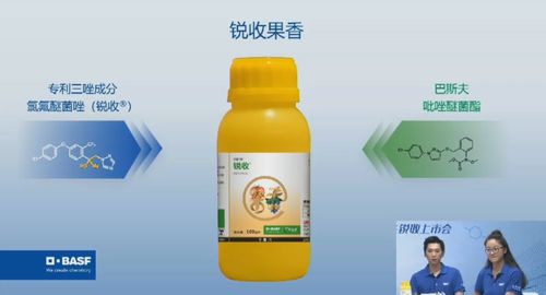 番茄晚疫病：一个让人头疼的问题