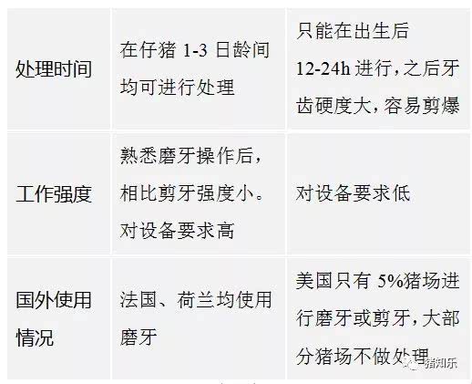 母猪产房、营养、保健实操管理有哪些容易被忽视的关键点？