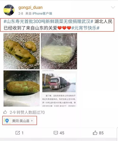 儿菜病害防治，三环唑效果如何？菜农实测数据来告诉你