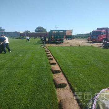 混播技巧， 就像炒菜放调料