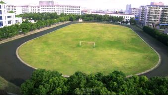 Zui常见的职业路线